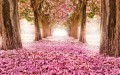 ピンクの花の道の木の風景画 写真からアートへ